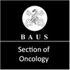 BAUS Section of Oncology Meeting 2012 (Belfast)